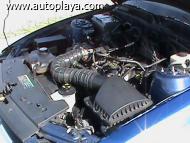 C&oacute;digo CAAC1DDa, foto mediana